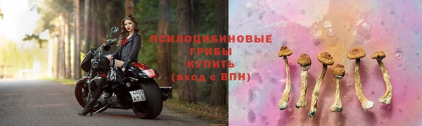 твердый Арсеньев