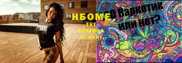 шишки Алексин