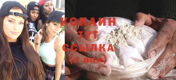 гашик Алзамай