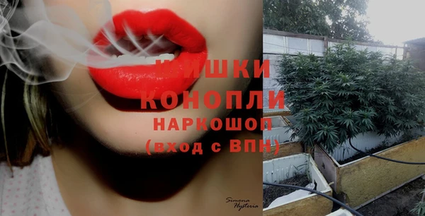 шишки Алексин