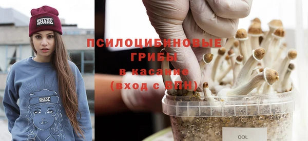 твердый Арсеньев