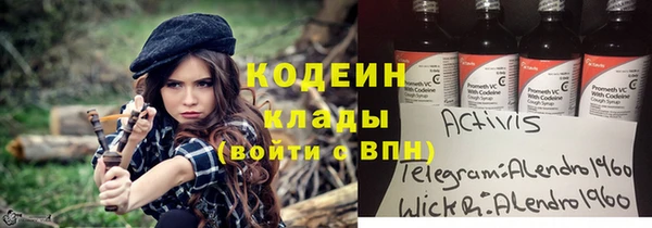 гашик Алзамай