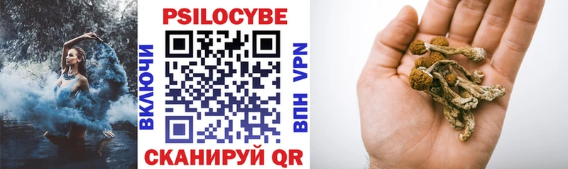 Псилоцибиновые грибы GOLDEN TEACHER  Бабаево 